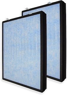 PUREBURG Replacement True HEPA Filter Compatible with Hathaspace HSP002 Smart True 2.0 Air Purifier,3 -Stage Filtration Activated carbon,2-Pack