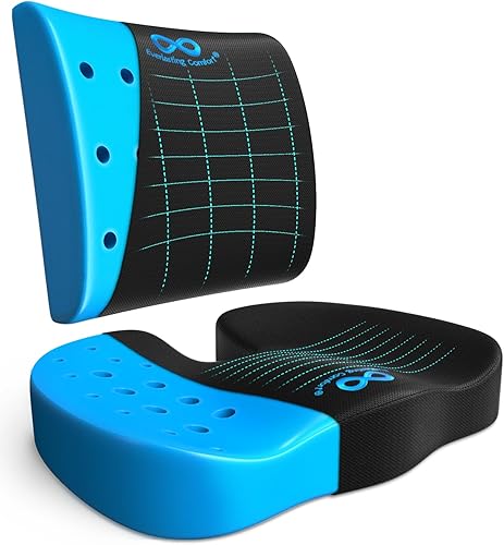 Everlasting Comfort Combo de almohada de apoyo lumbar con infusión de gel y cojín de asiento para automóvil, cojines de asiento de automóvil para