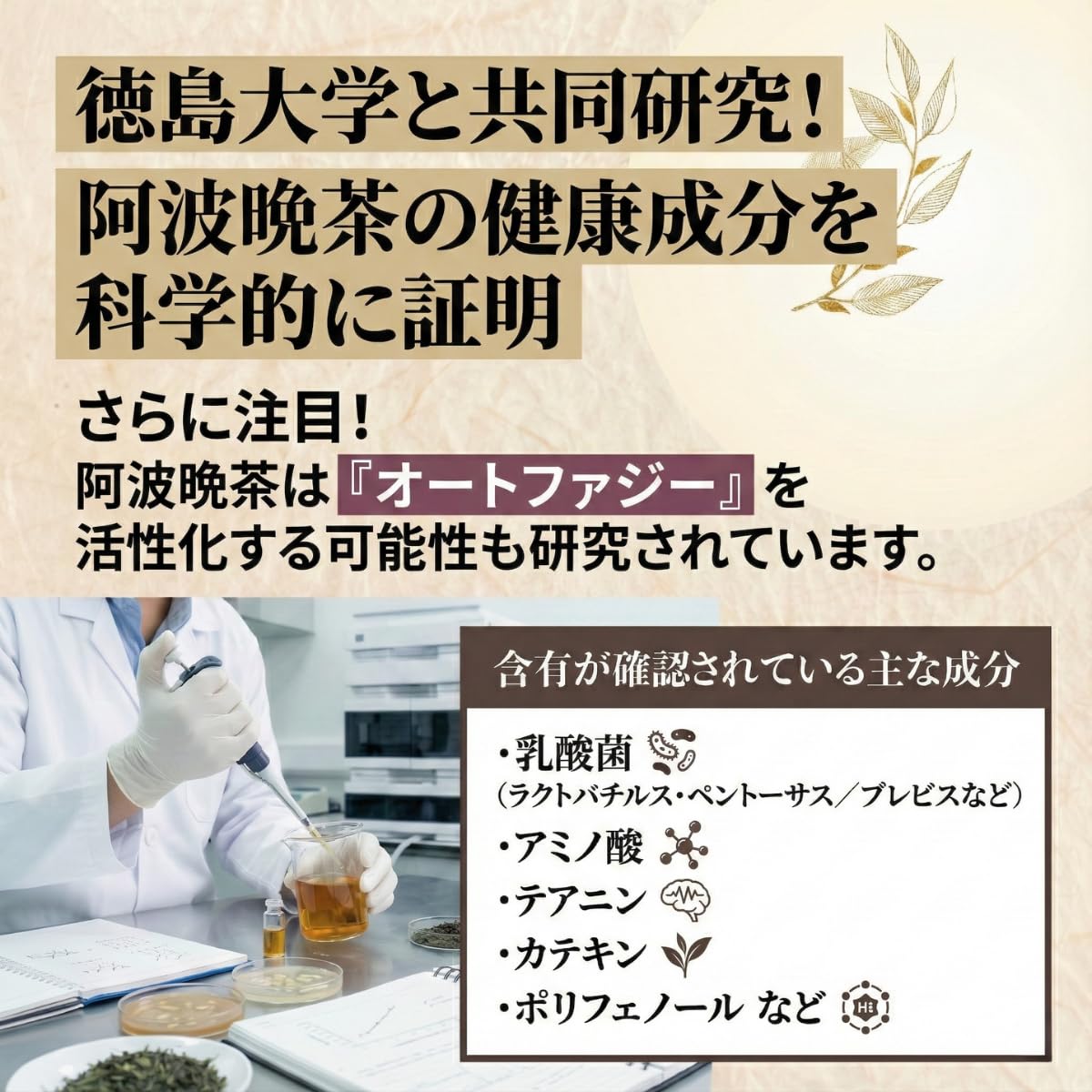Amazon.co.jp: 【阿波晩茶 乳酸発酵茶】 徳島県上勝町産 無農薬100