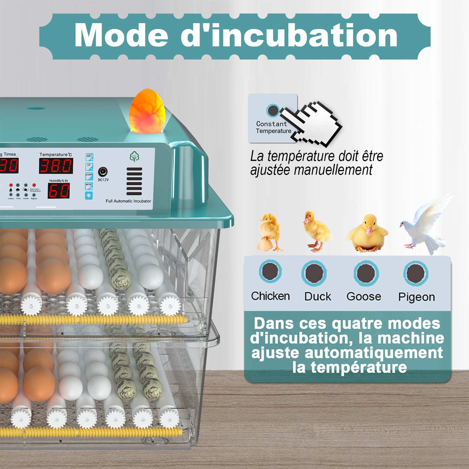 Incubateur Oeuf Automatique 120 Œufs, Couveuse Oeuf Automatique avec 4 Modes d’Incubation Automatique, Affichage Température & Humidité, Remplissage d’Eau Automatique, Couveuse pour Volaille & Poultry