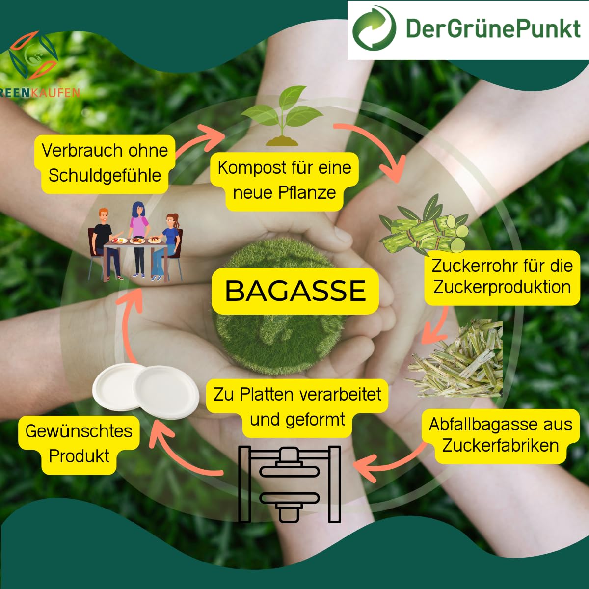 Bio (50 Stück) Bagasse Einweg Warmhalte- Hamburger Box Giant XXL, 200x215x80 mm, weiß Menüboxen un-geteilt, Snackboxen,umweltfreundiche biologischabbaubar Verpackungsboxen (1)