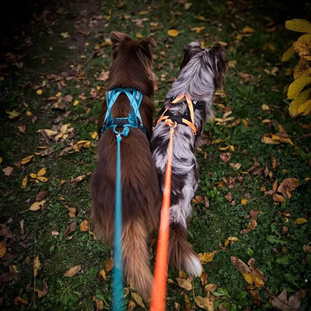 Non-Stop Dogwear Rush - Arnés verde azulado, talla 6