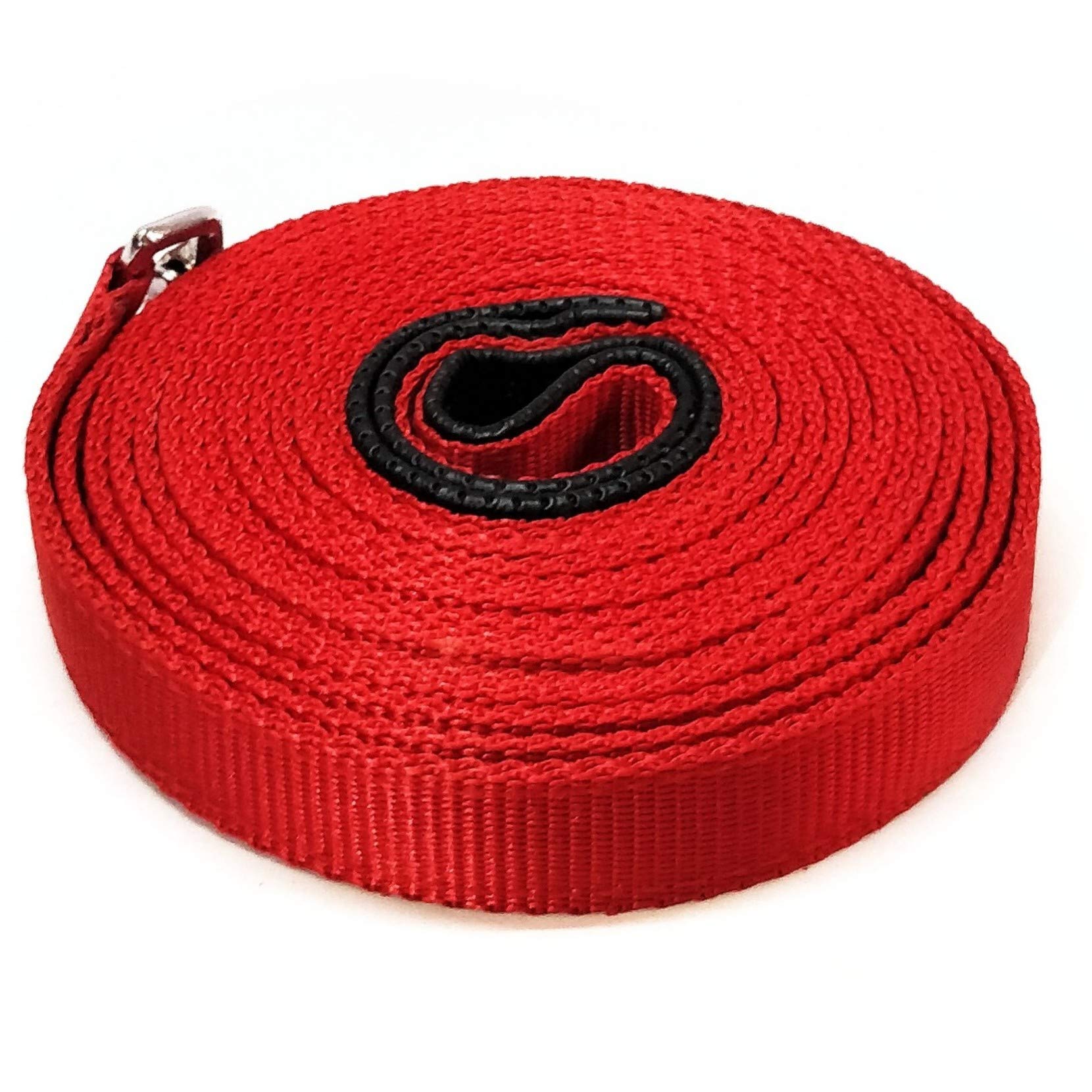 Petlicious & More Tough Nylon Padded Handle 15 Ft Long Dog Leash - Red (B07QMD2NGW) Amazon Price History, Amazon Price Tracker