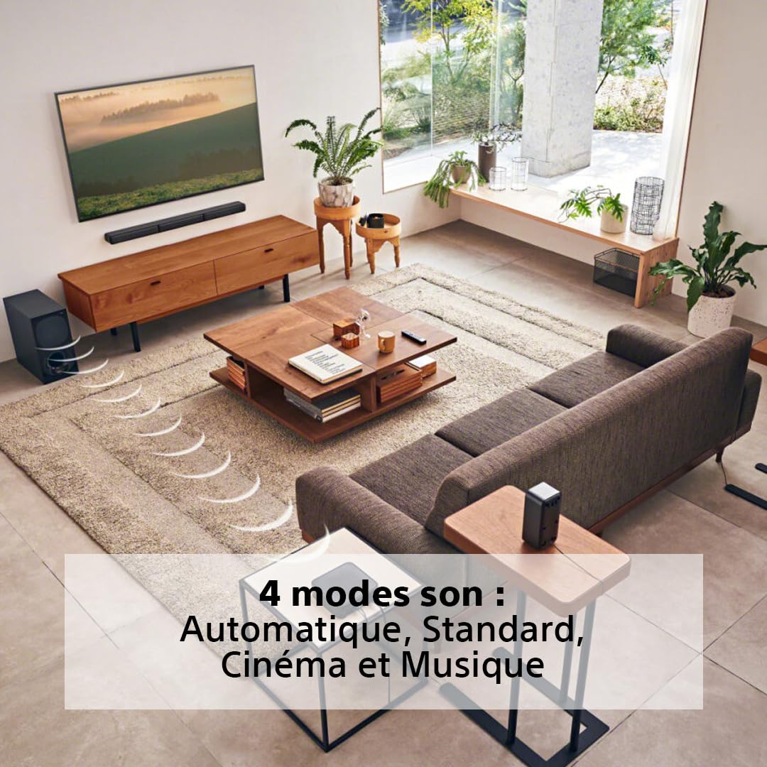 Sony HT-S40R Barre de Son 5.1ch Home Cinéma sans Fil Noir