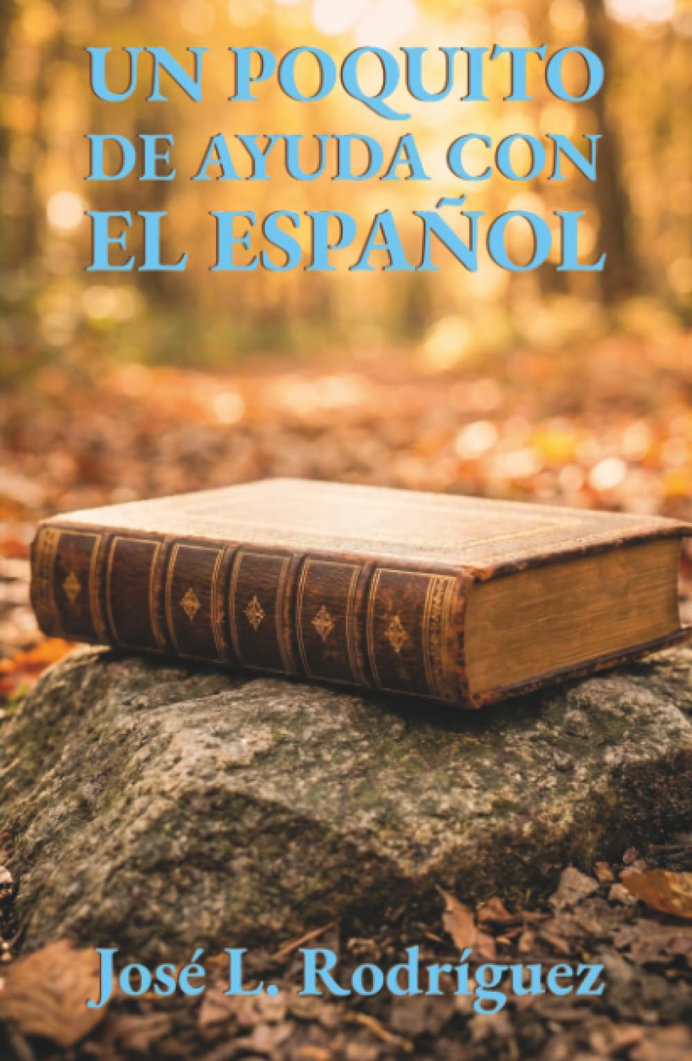 Un poquito de ayuda con el español: Introducción a algunas de las reglas gramaticales