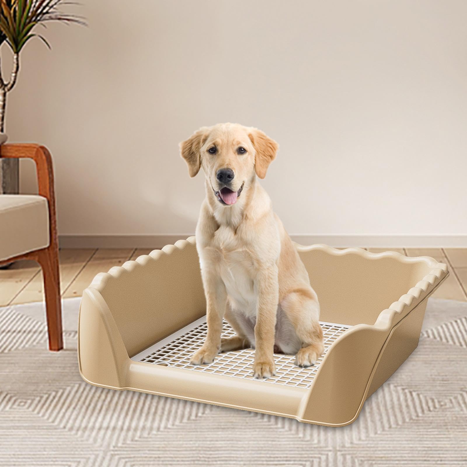 Support de Tapis d'apprentissage de La Propreté pour Chien, Portable, Facile à Nettoyer, Anti-éclaboussures, avec Support Amovible pour Autres ANI, Café