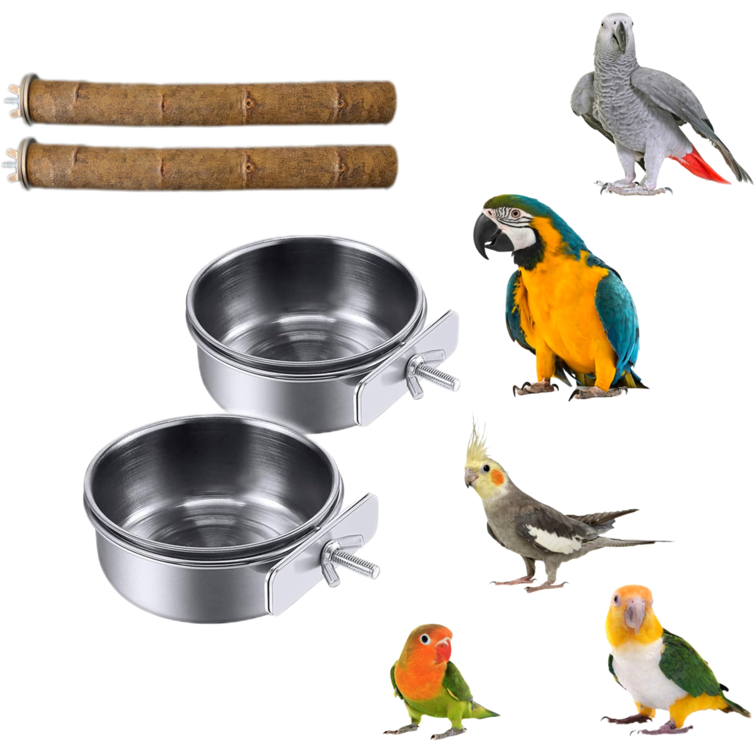 2+2 und comederos de acero inoxidable y perchas para jaula de loro yaco, guacamayo, cuencos 10 y 12cm para pienso y semillas de pájaros agaporni, ninfa, accesorios aviario y voladera de aves. (S)