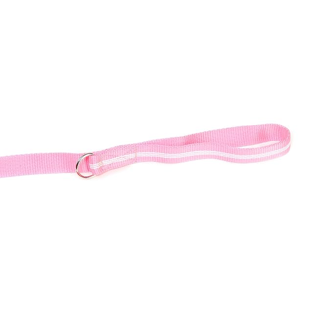 Foto 4 de 6 de Julius-K9 214-NL-1,8-PN Correa Tubular de IDC con Asa y Anillo en D, 1.8 M x 25 mm, Rosa