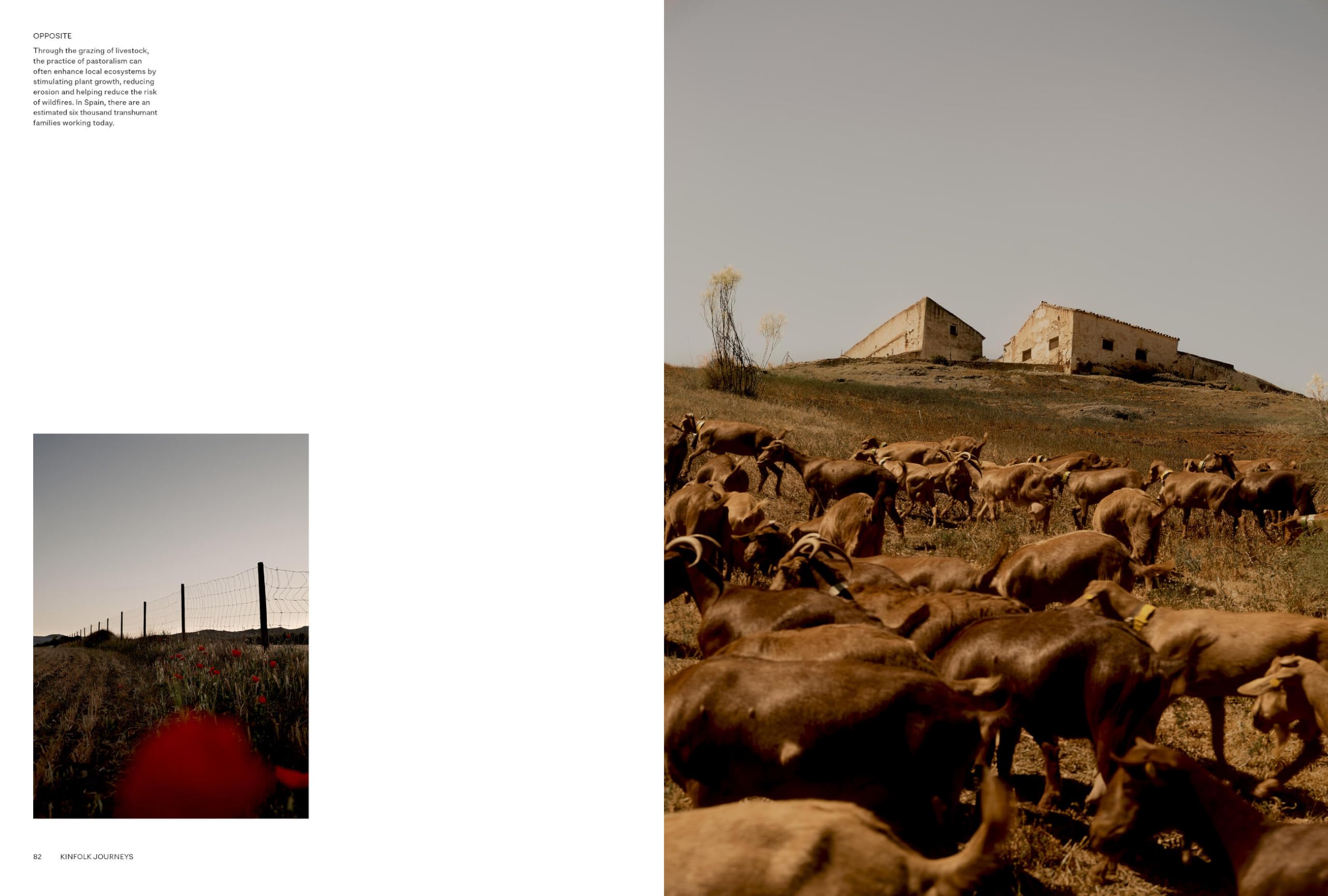 Kinfolk Journeys: Kinfolk Adventures