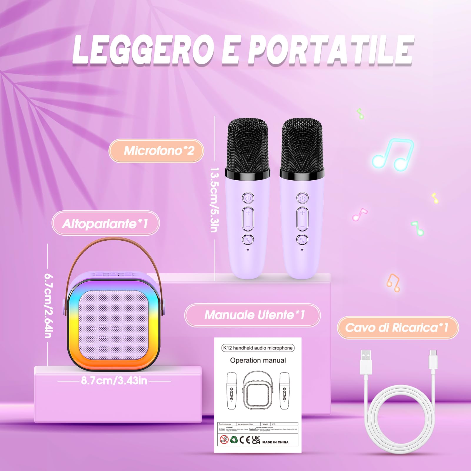 Karaoke con Microfono Regalo per Bambini 3-12 Anni Giochi Giocattoli