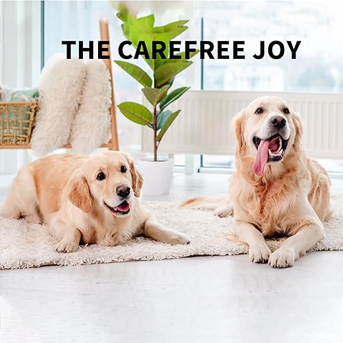 Miniatura 9 de YWEAUIV Rodillo de pelusas, 660 hojas extra pegajosas para sofá, ropa, mobiliario, piel de animal, pelo de perro, gato, mascotas, mini rodillo