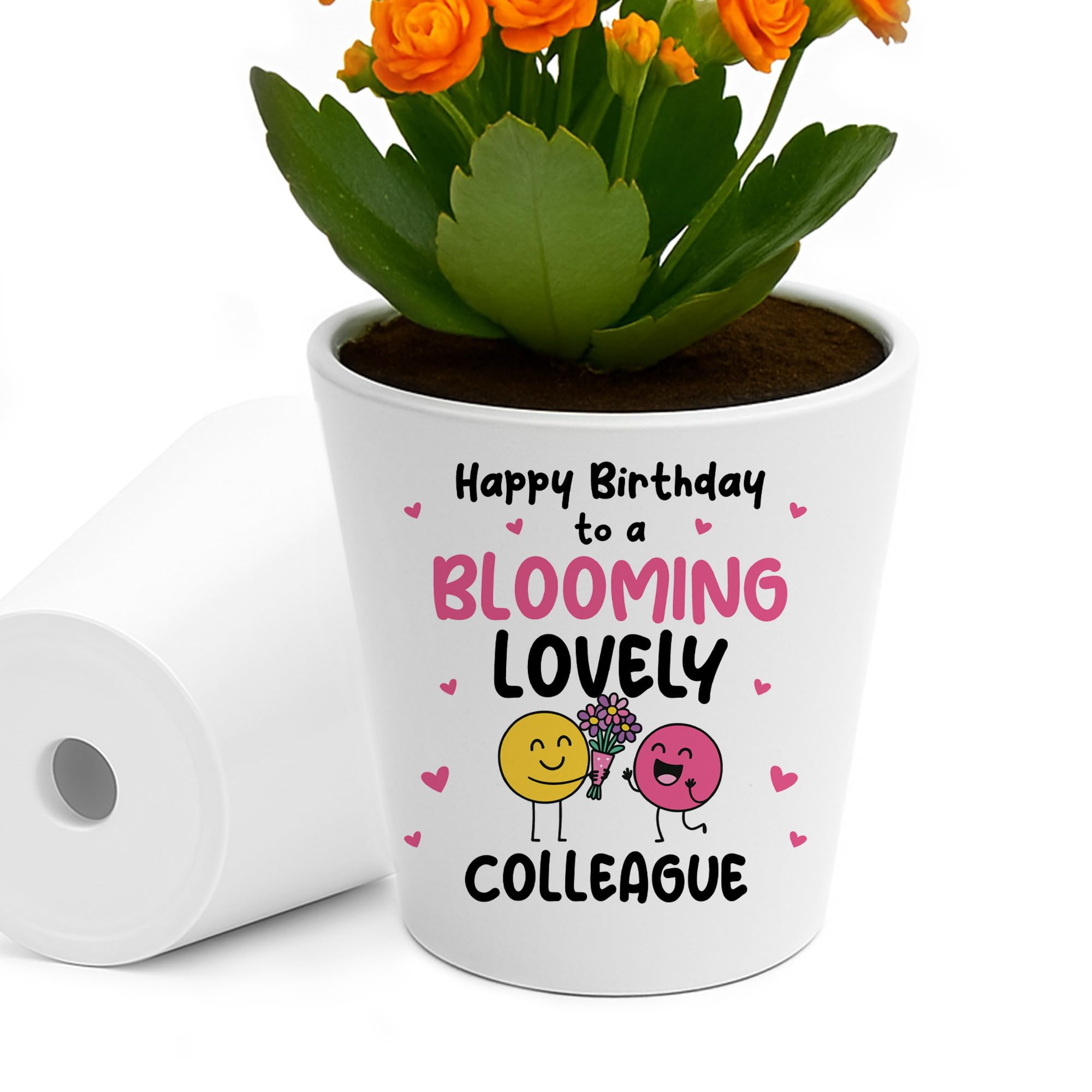 Red Ocean Birthday Gifts for Colleague Plant Pot Friendship Keepsake Friendship Gifts for Women Colleague Birthday Thank You Her Blooming Lovely Present
