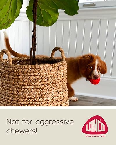 Miniatura 3 de Juguete de bola pequeña para perros – 100 % goma natural (látex) – Juguete suave y chirriante para perros – Cachorros de razas pequeñas – Juego en