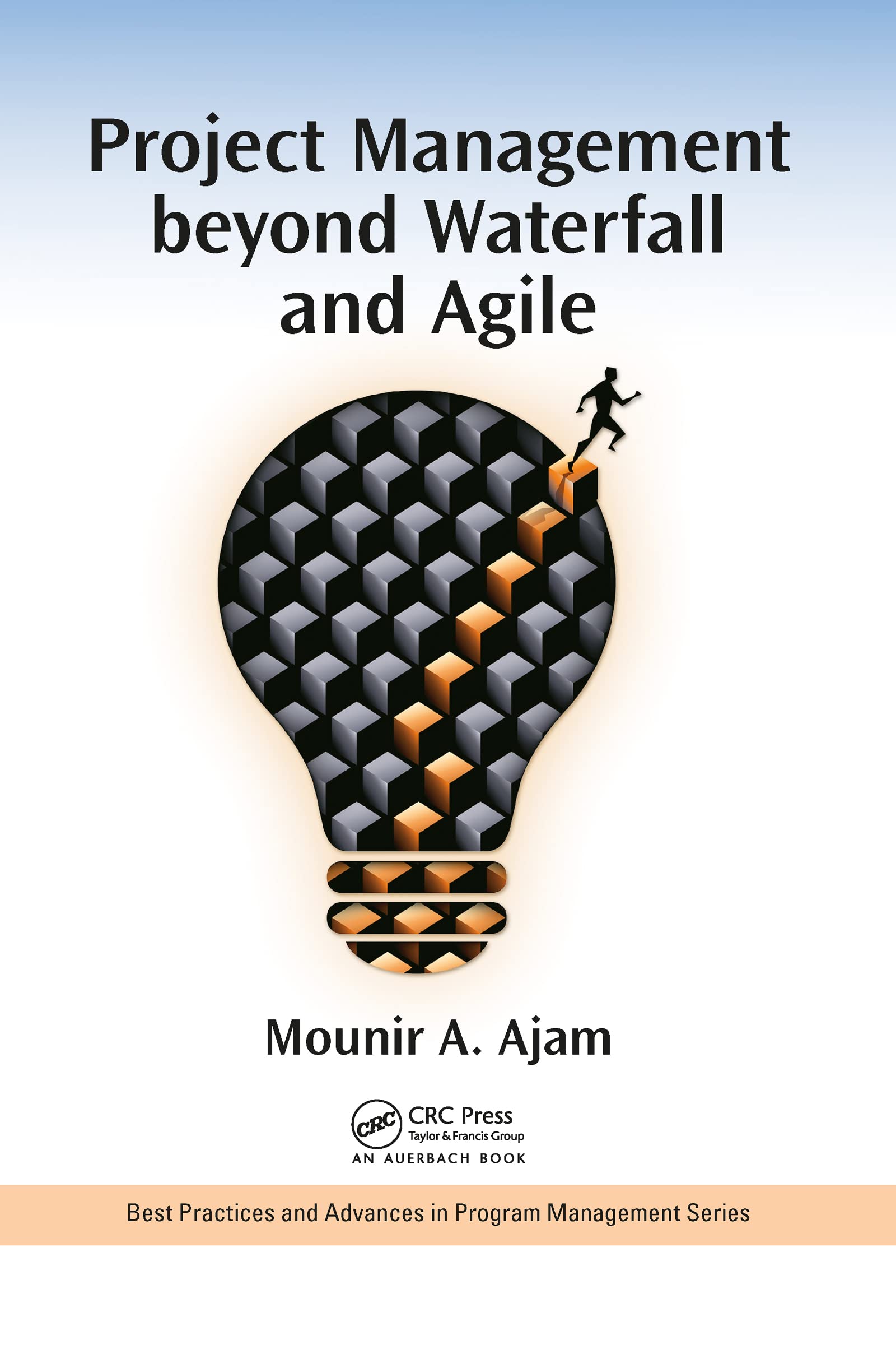 Project Management beyond Waterfall and Agile (Best Practices in Portfolio, Program, and Project Management)