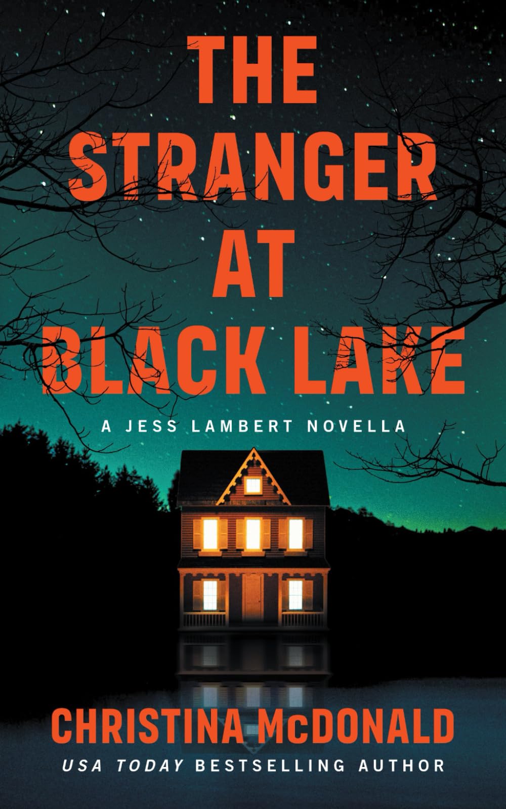 The Stranger At Black Lake: A Jess Lambert Prequel Novella