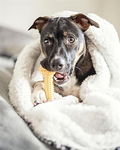 Miniatura 2 de Nylabone Barbell Bone Power Chew Toy for Dogs, Dog Toys for Aggressive Chewers, Peanut Butter Flavor, Large - Up to 50 lbs, 1 Count