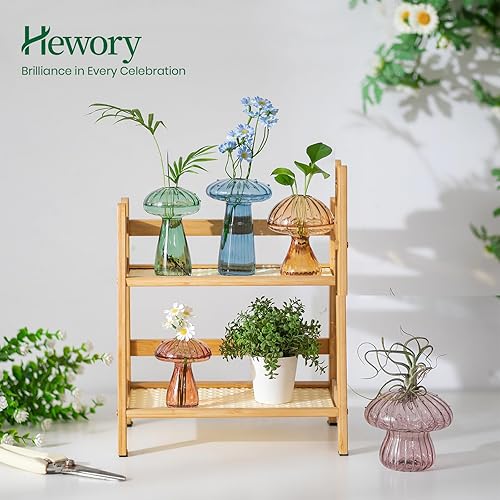 Miniatura 3 de Hewory Estaciones de Propagación de Hongos de Vidrio: Conjunto de 5 Frascos de Propagación Únicos Plantador de Vidrio para Plantas de Interior