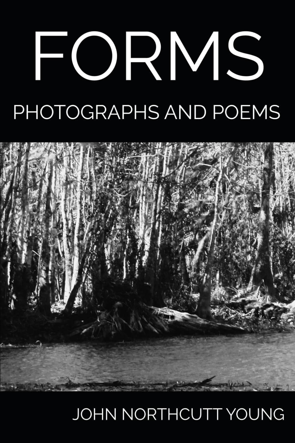 FORMS: PHOTOGRAPHS AND POEMS