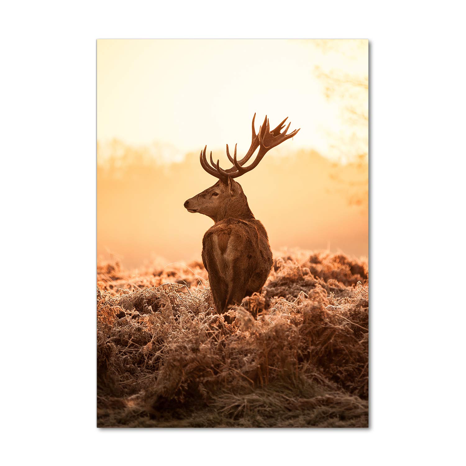 Tableau en verre acrylique cerf orange pour salon chaleureux | Déco murale 70x100