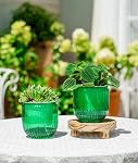 Pots auto-abreuvants pour pots de fleurs intérieurs, 4.3 1 cm 2 Pack Planters Pots de plantes à l'intérieur avec drainage pour les plantes domestiques, sucentes, violettes africaines et cactus