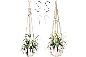 Augshy: Two-Pack House Plant Hangers