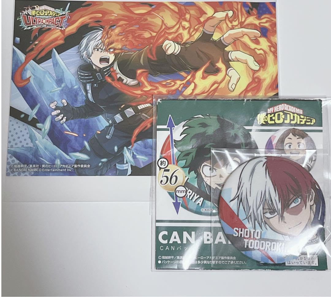 Amazon.co.jp: 僕のヒーローアカデミア ヒロアカ 轟焦凍 緑谷出久