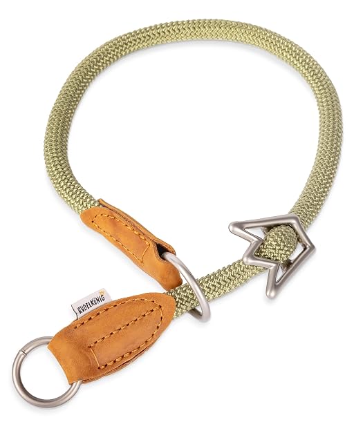 Rudelkönig Collar antitirones Perro Emma - Elegante Collar adiestramiento Perros de Cuero y Nailon - ø 12mm