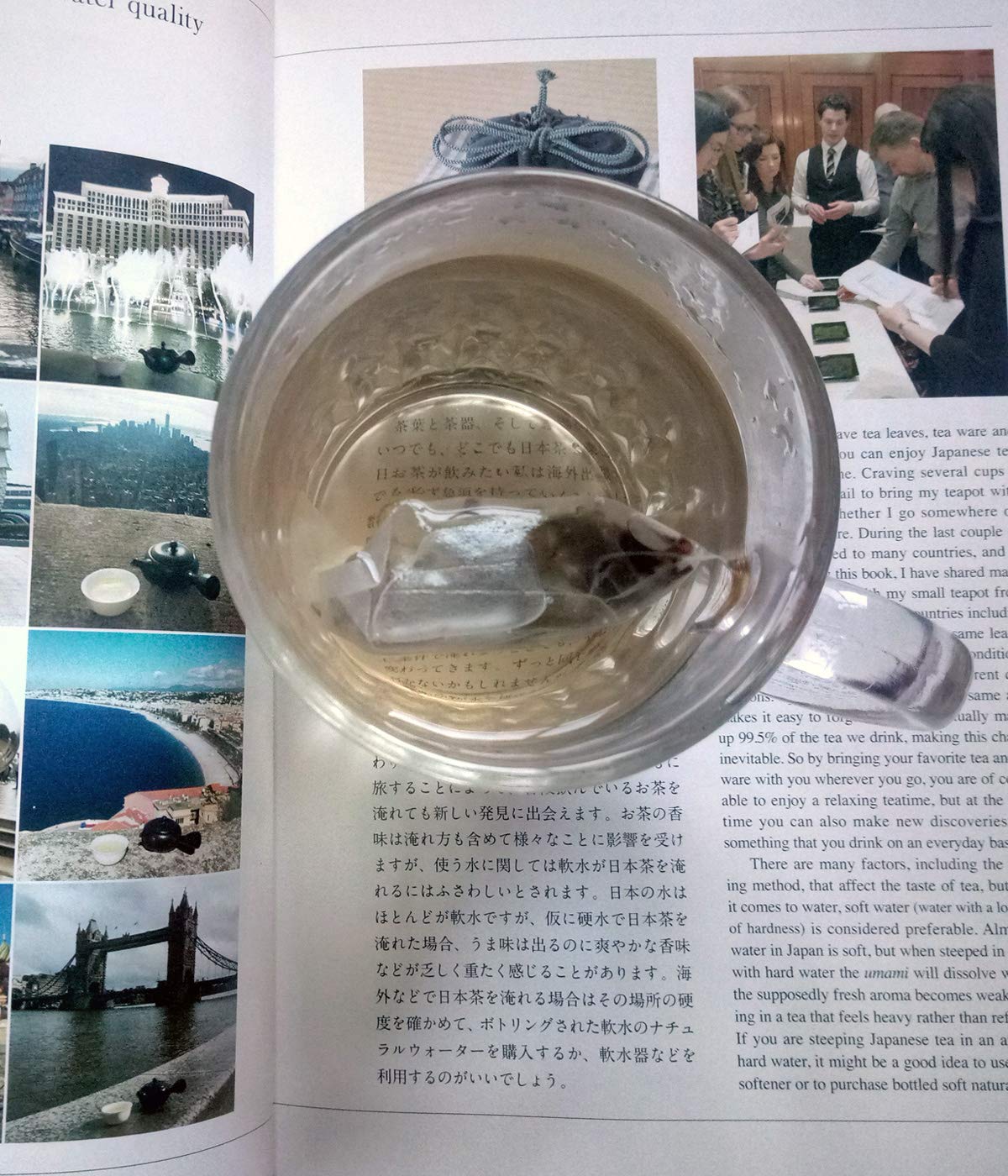 福鼎大白茶　4枚　送料込み 白茶】福鼎白茶 老樹白茶 350g/枚 | 五福茶荘
