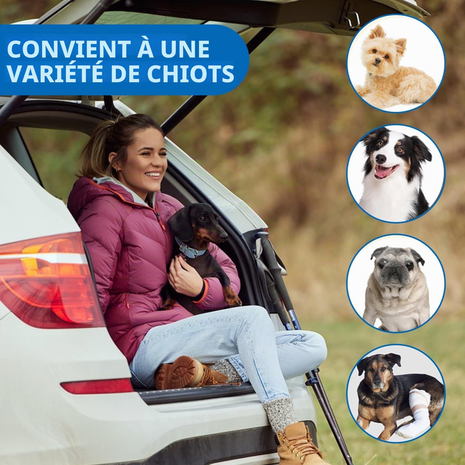 DYUEE Rampe de voiture pour chien 170 cm métal 150 kg pliable antidérapante