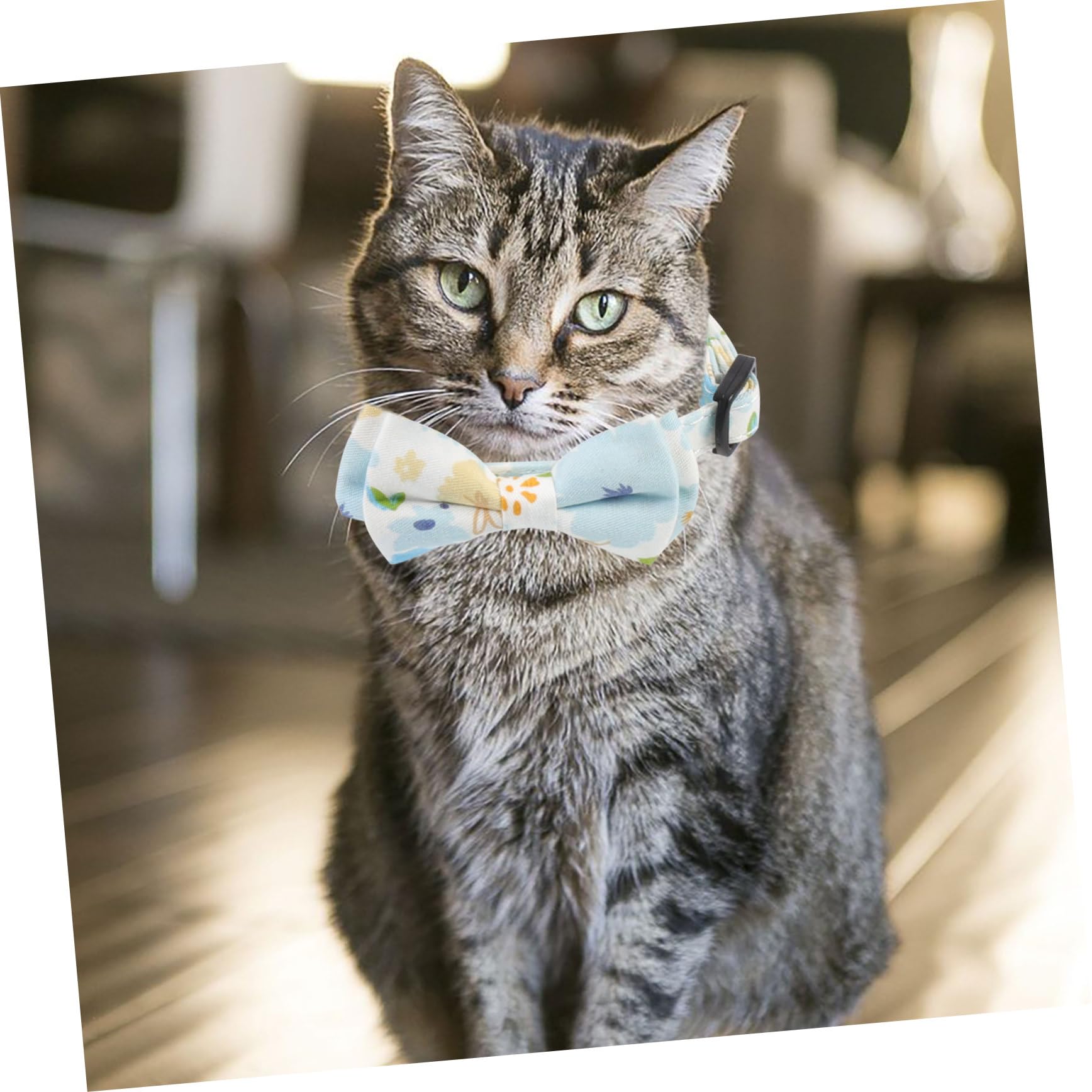 Kisangel 10pièces Collier Décoratif pour Chat Et Chiot Et Résistant Accessoire avec Clochette Et Nœud Motif Floral Et Carreaux