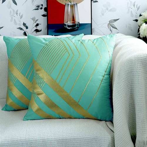 Paquete de 2 fundas de almohada de terciopelo azul bebé de 18 x 18 pulgadas con patrón geométrico dorado tridimensional, fundas de cojín cuadradas