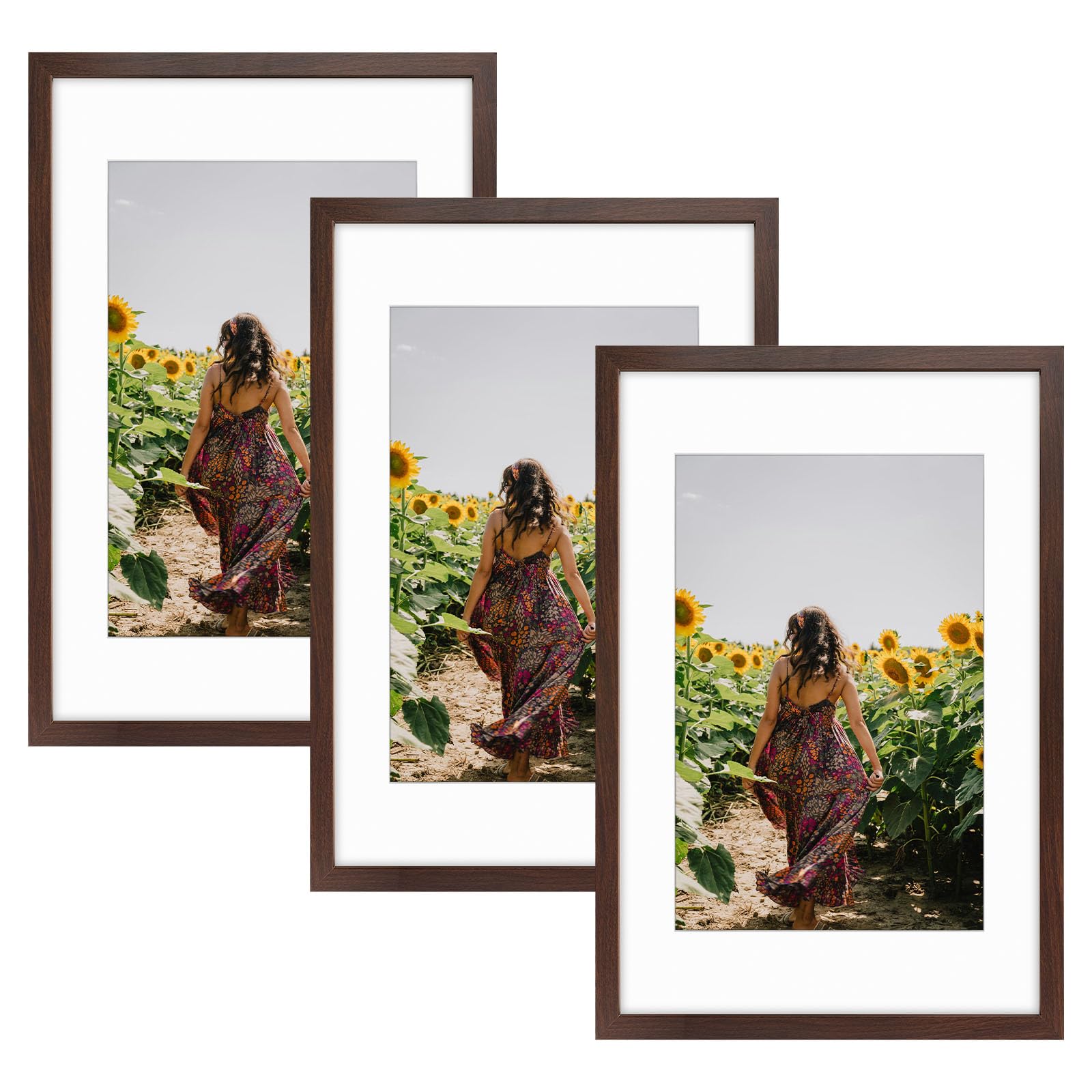 Frametory 3 Pack 16x24 Brown Picture Frame with Real Glass Mat for 12x18