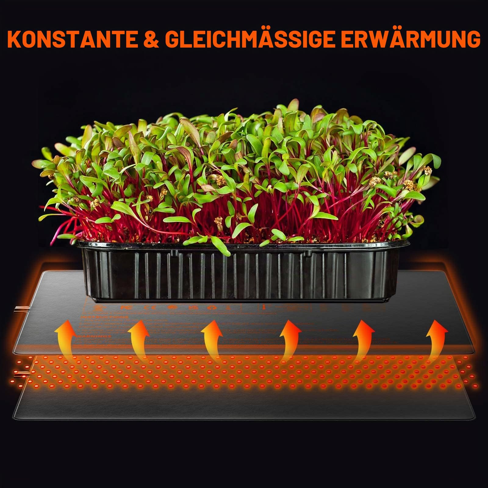 Spider Farmer Heizmatte für Pflanzen, Wärmematte Set mit Thermostatregler für Sämling Germination und Haustier Heizkissen Zimmergewächshaus Heizmatten Amphibien Pet Mat Wärmer Bett Matte 25x52CM, 20W