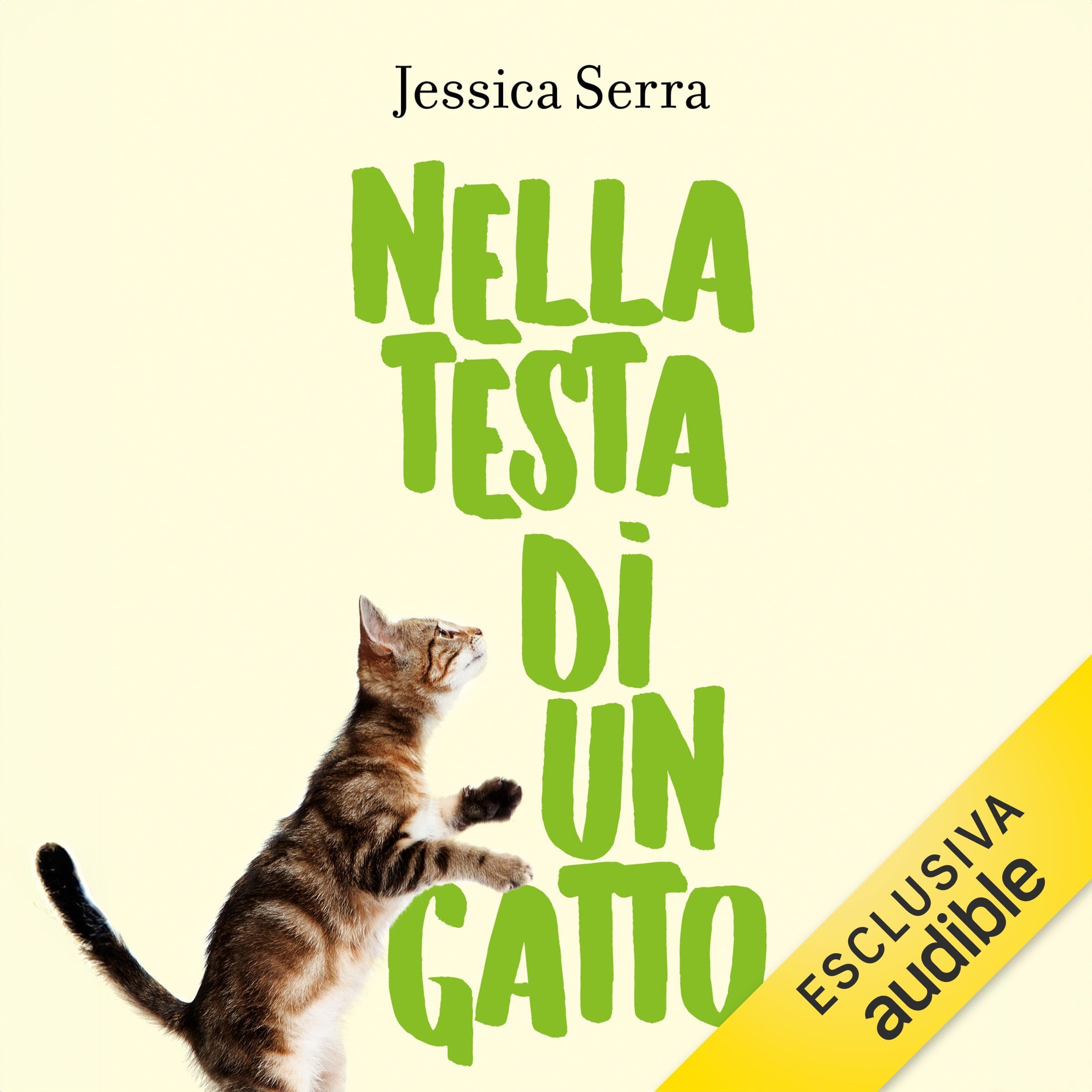 Nella testa di un gatto