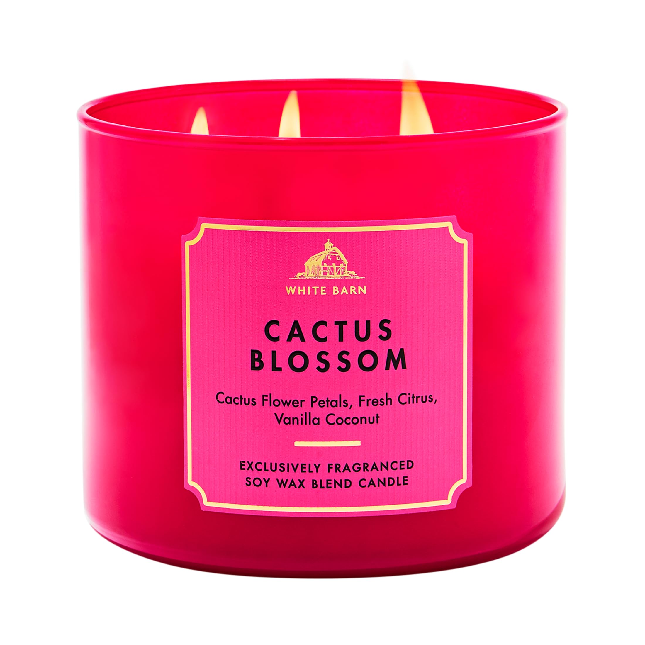 Amazon.com: Bath & Body Works Cactus Blossom 3-Wick Candle