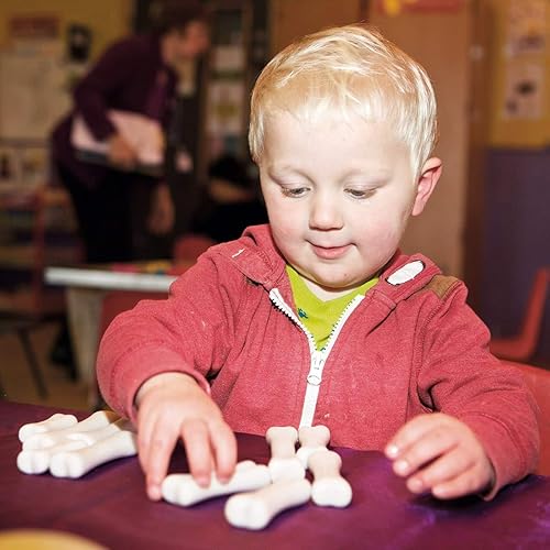 Miniatura 4 de Yellow Door YUS1038 - Juego de descubrimiento de huesos de dinosaurio (paquete de 12)