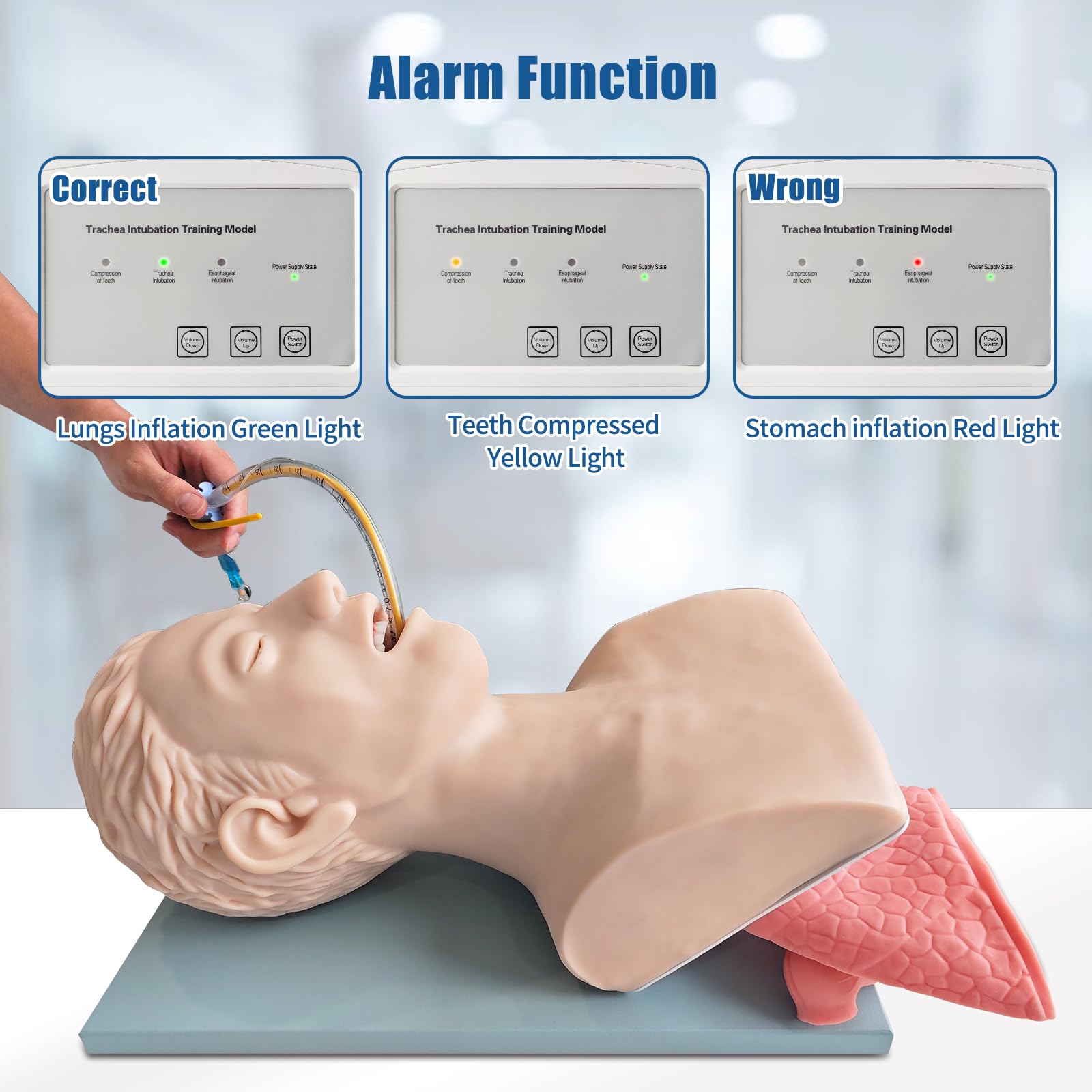 Manichino per Intubazione,modello educativo di gestione delle vie respiratorie per adulti, per la formazione in laboratorio scientifico (adulti)