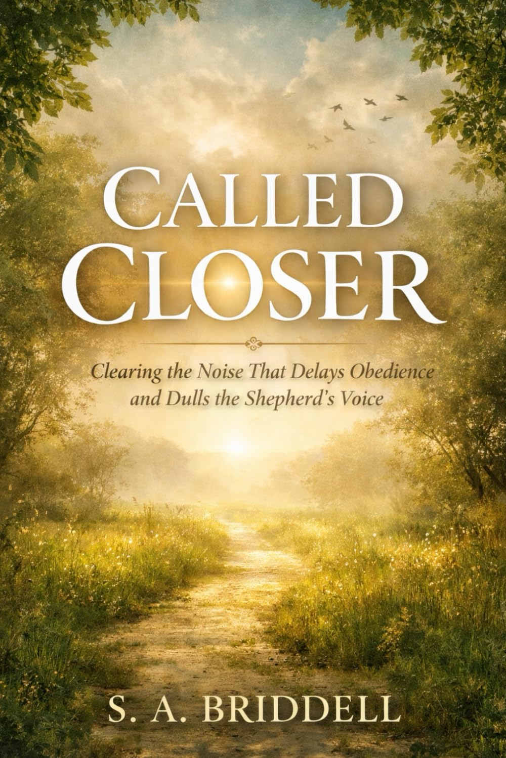 CALLED CLOSER: Clearing the Noise So You Can Hear God and Walk in Obedience