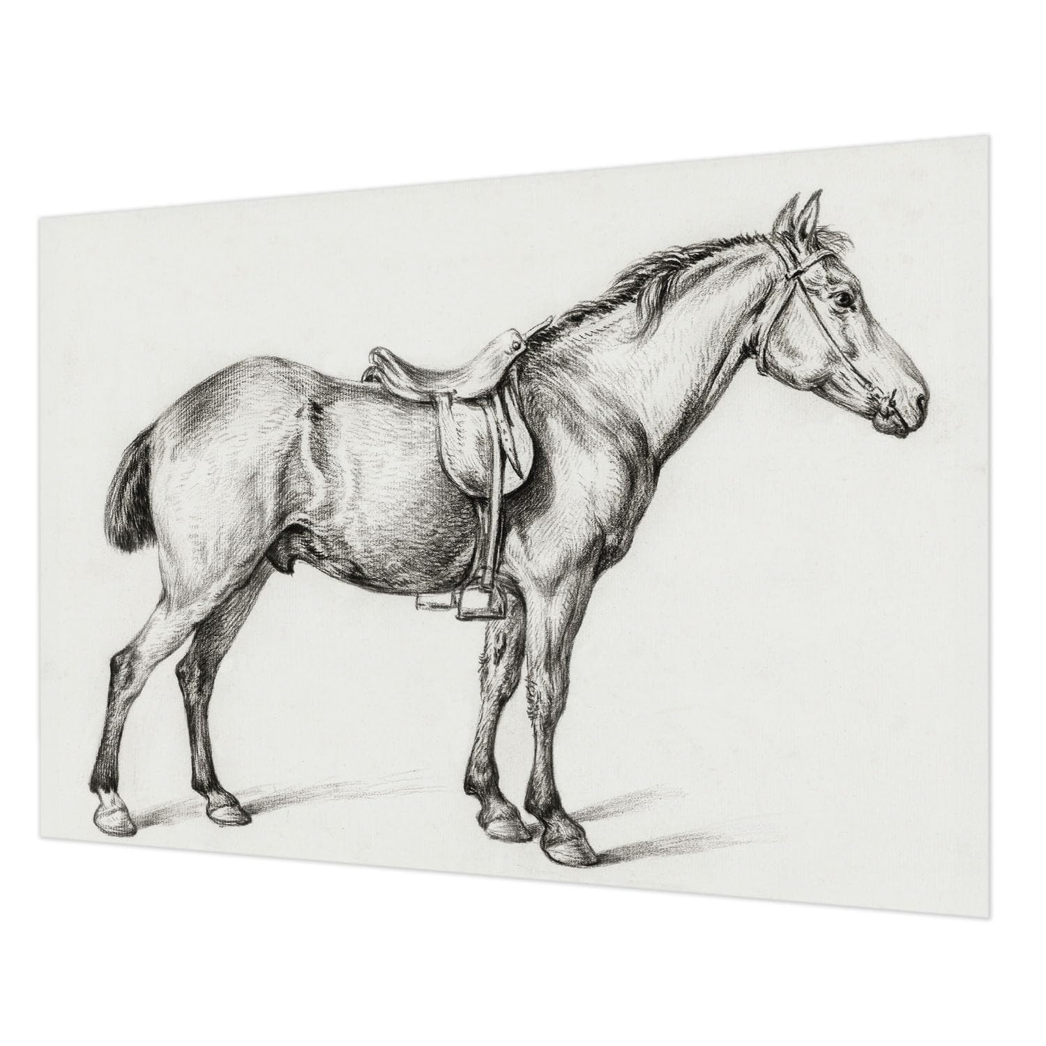 Papier peint intissé haute qualité lavable croquis cheval Tulup
