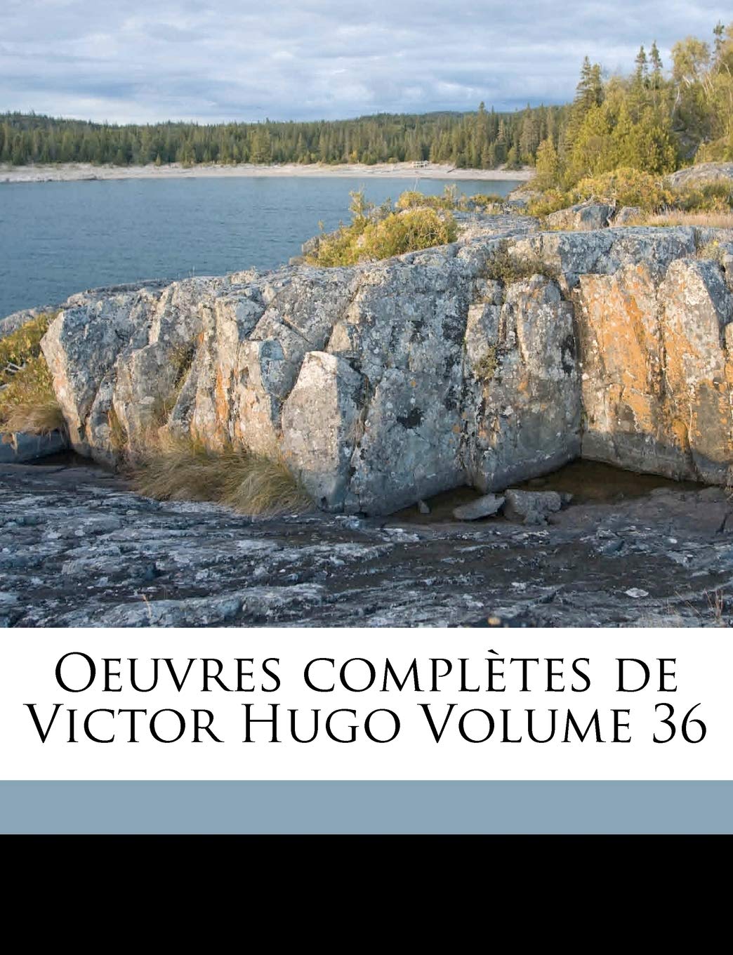 Oeuvres Completes de Victor Hugo Volume 36