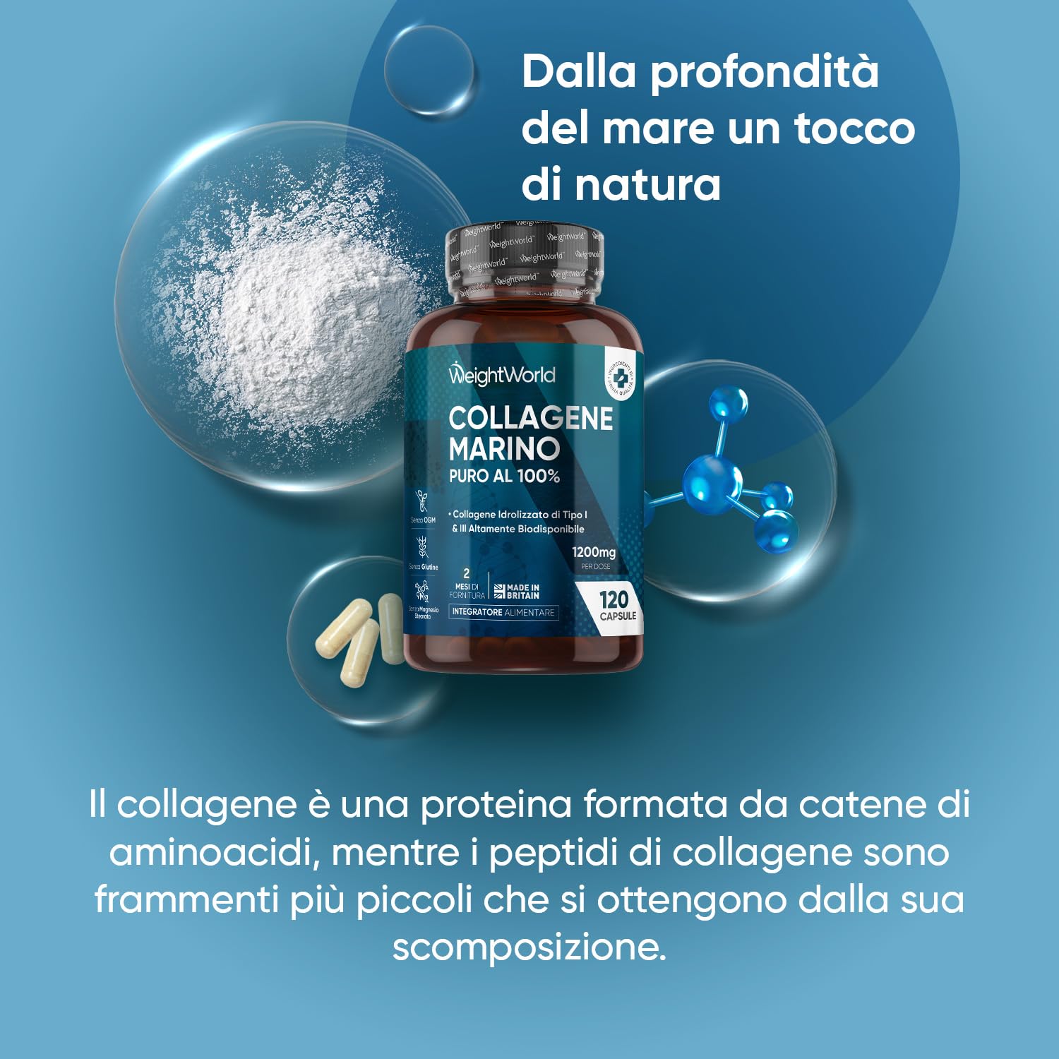 Collagene Marino Idrolizzato da 1200mg, 100% Puro, in 120 Capsule, Peptidi di Collagene Idrolizzato di Tipo 1 e 3 Titagen (2 Mesi di Fornitura), Privo di Magnesio Stearato e Senza Glutine né Additivi