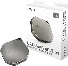 MSI DATAMAG SSD portátil de 40 Gbps 1 TB, unidade externa de estado sólido de 1 TB, velocidades de até 4000 MB/s, USB-C, armazenamento confiável para jogos, estudantes, profissionais, prata