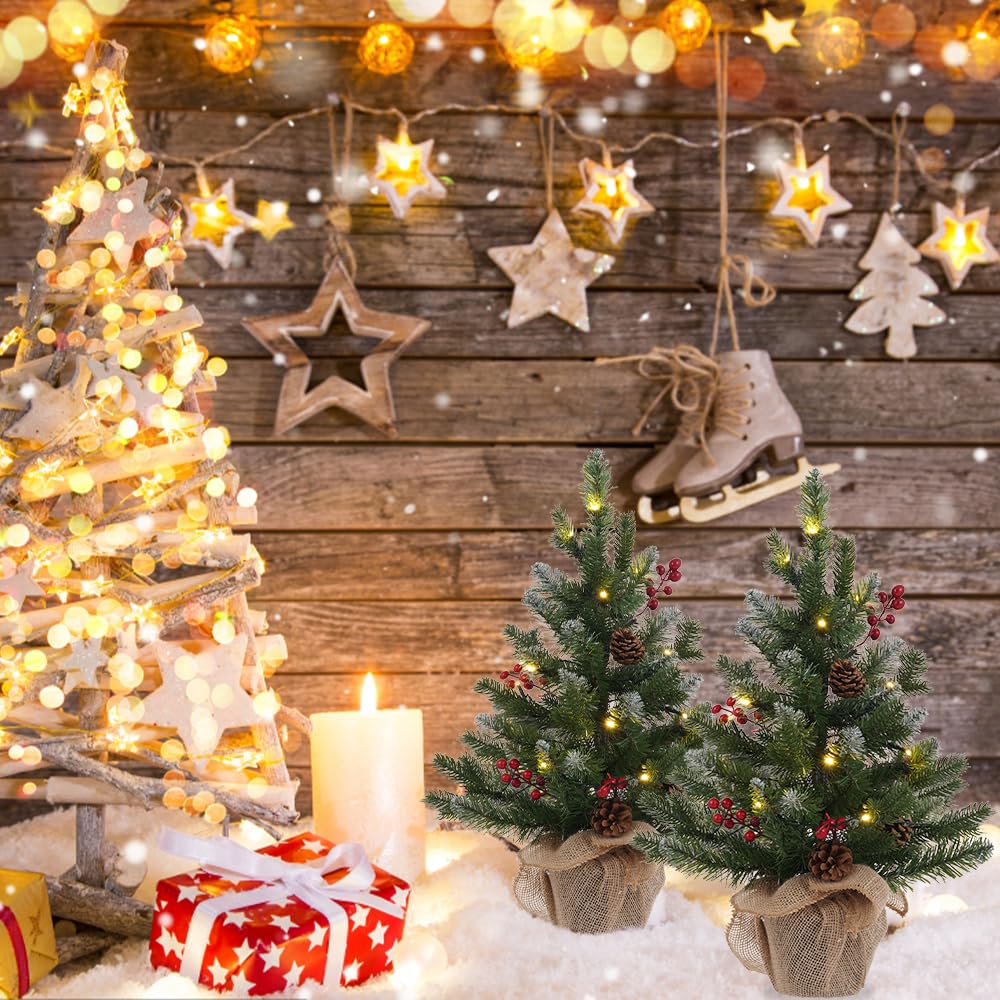 MEETYAMOR Lot de 2 mini sapins de Noël artificiels de 61 cm pré-éclairés en polyéthylène floqué de neige avec 20 lumières minuterie, décoration de Noël pour intérieur et extérieur