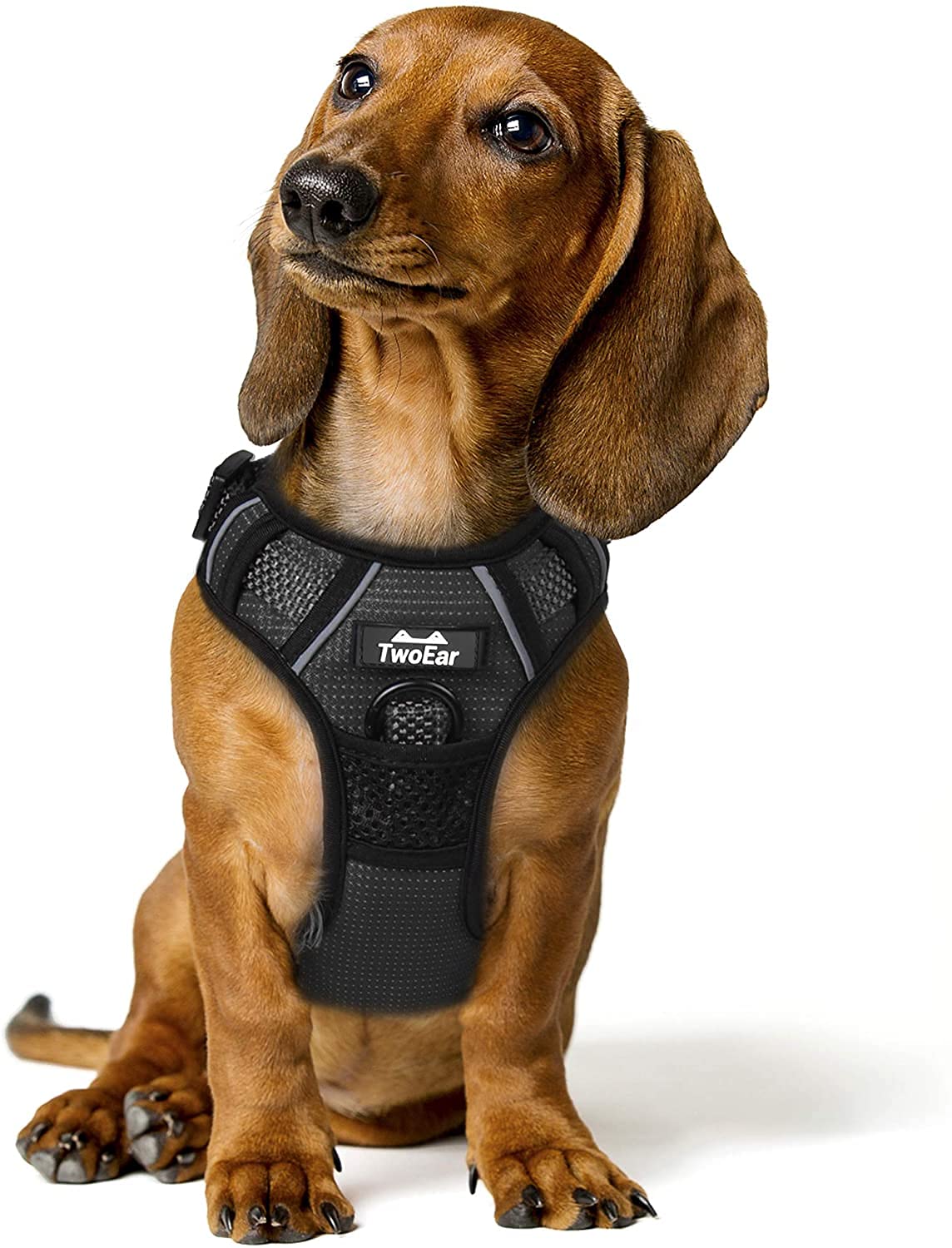 ☆ TwoEar 犬 ハーネス 犬用 胴輪 引っ張り防止 ブラック M 579 Amazon | TwoEar 犬 ハーネス 犬用 胴輪 引っ張り防止 全面反射材 調整