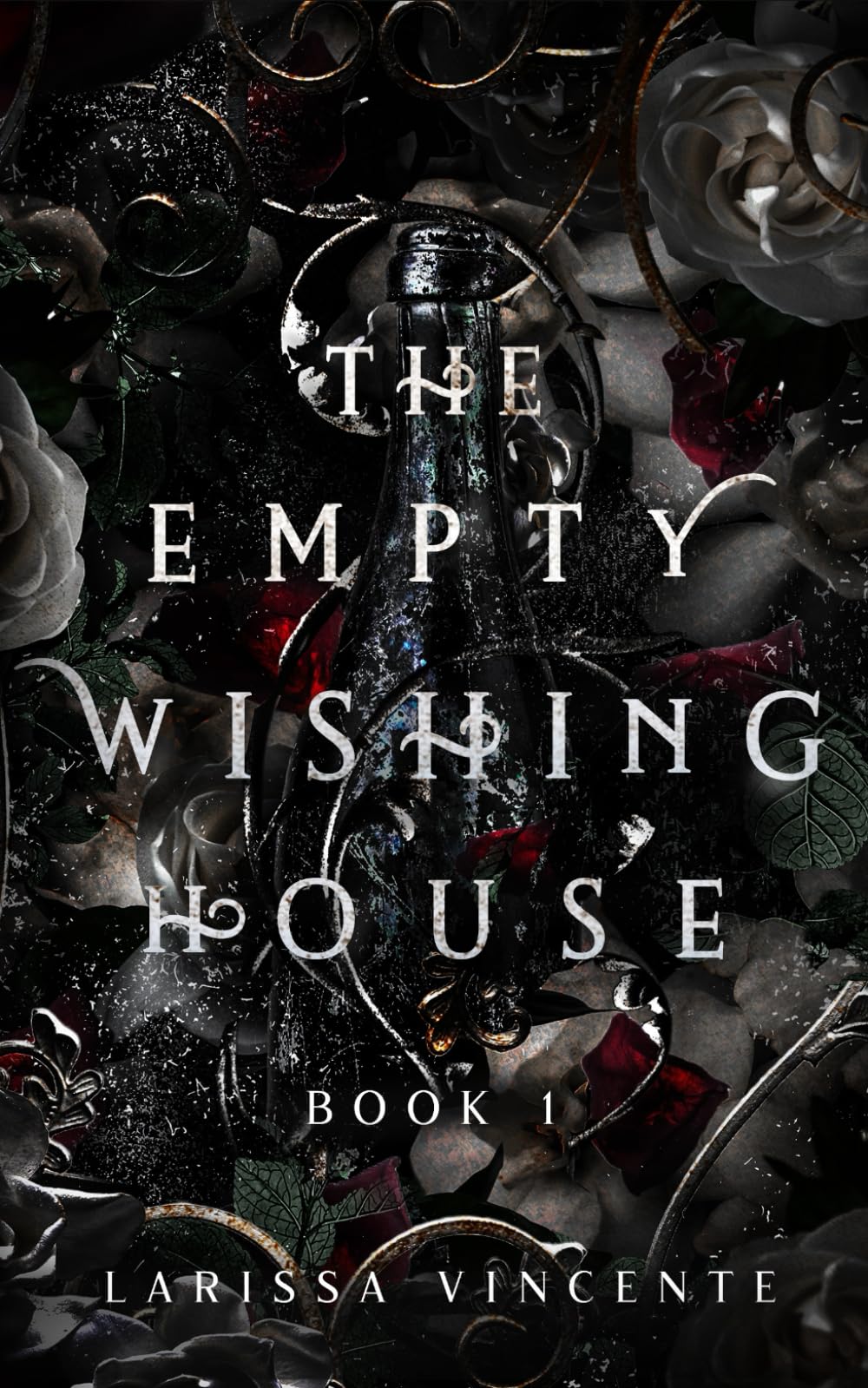 The Empty Wishing House: Book 1 (The Empty Wishing House Series)