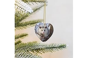 Hanging Ceramic Opossum Christmas Ornament