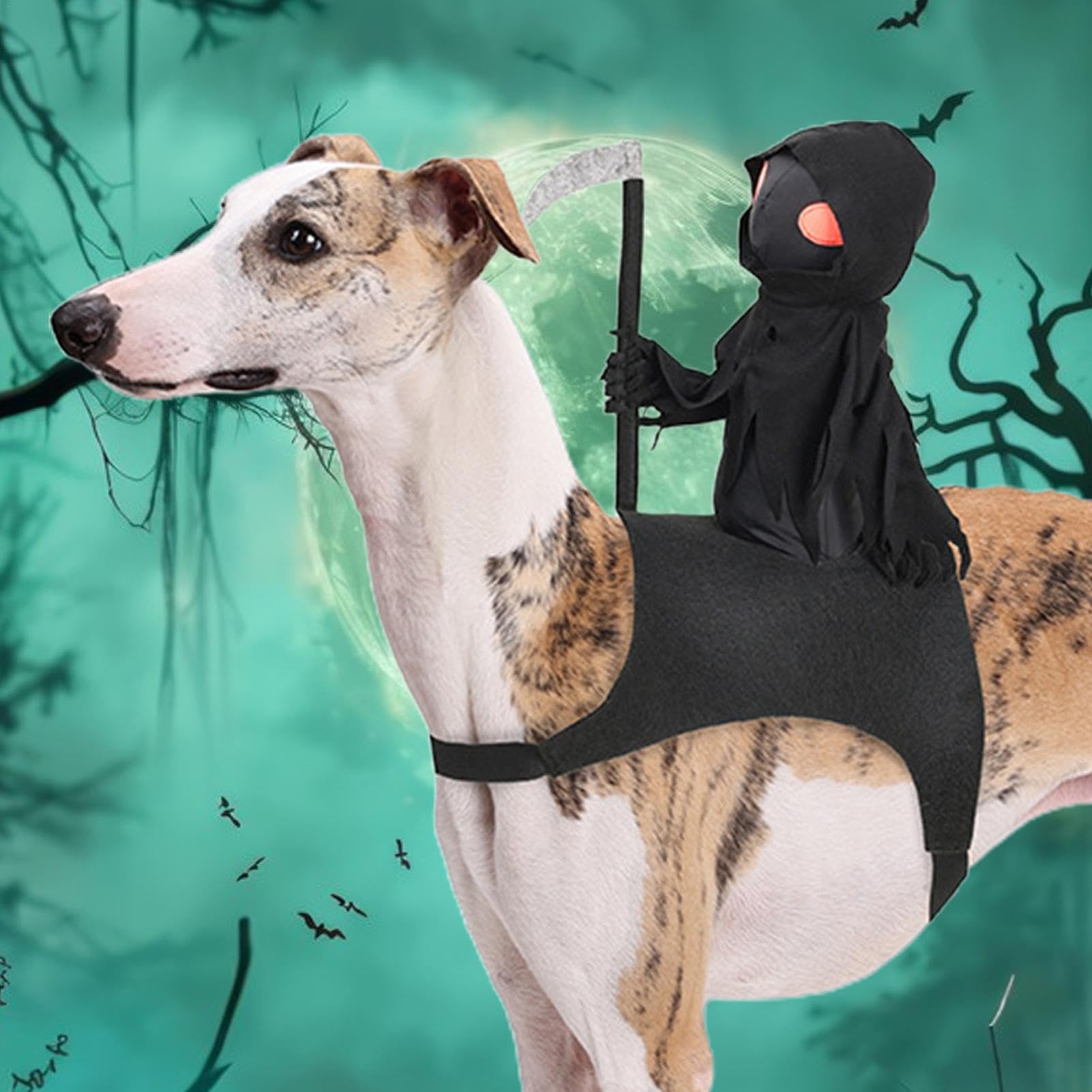 Lustiges Hundekostüm Halloween | Für Katzen & Hunde Größe L | Karneval Tierparty Verkleidung