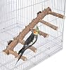 Bird Perches for Cage, Natural Wood Bird Parrot Perch, 12.2Inch Parrot Wood Stand for Cage Ladder Platform Accessories for Small Medium, Cockatiels Parakeets