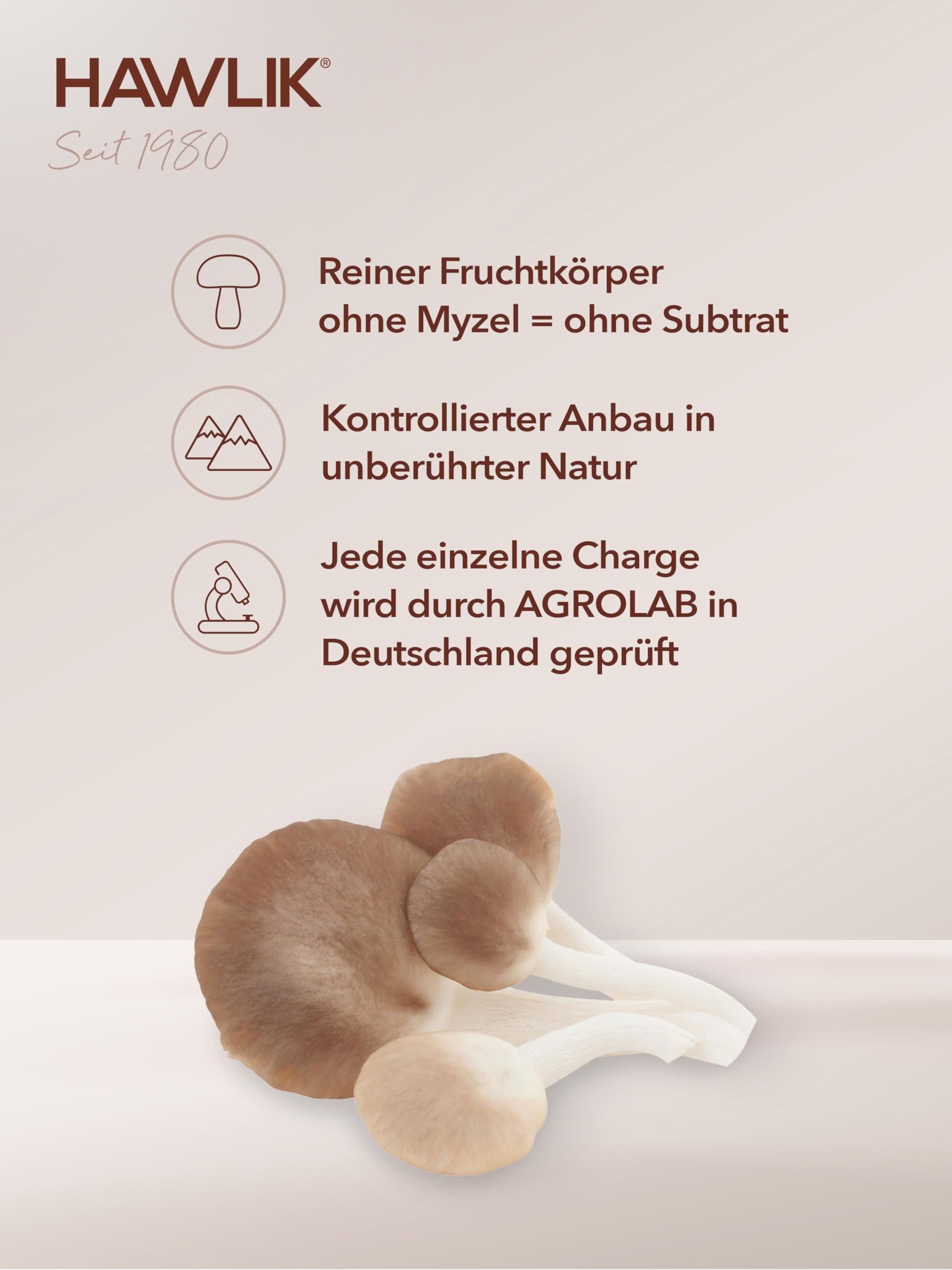 HAWLIK Vitalpilze Pleurotus Extrakt Kapseln - 240 Kapseln - Mit Vitamin C - Natürlicher Anbau - Vegan - Zuckerrohr-Dose