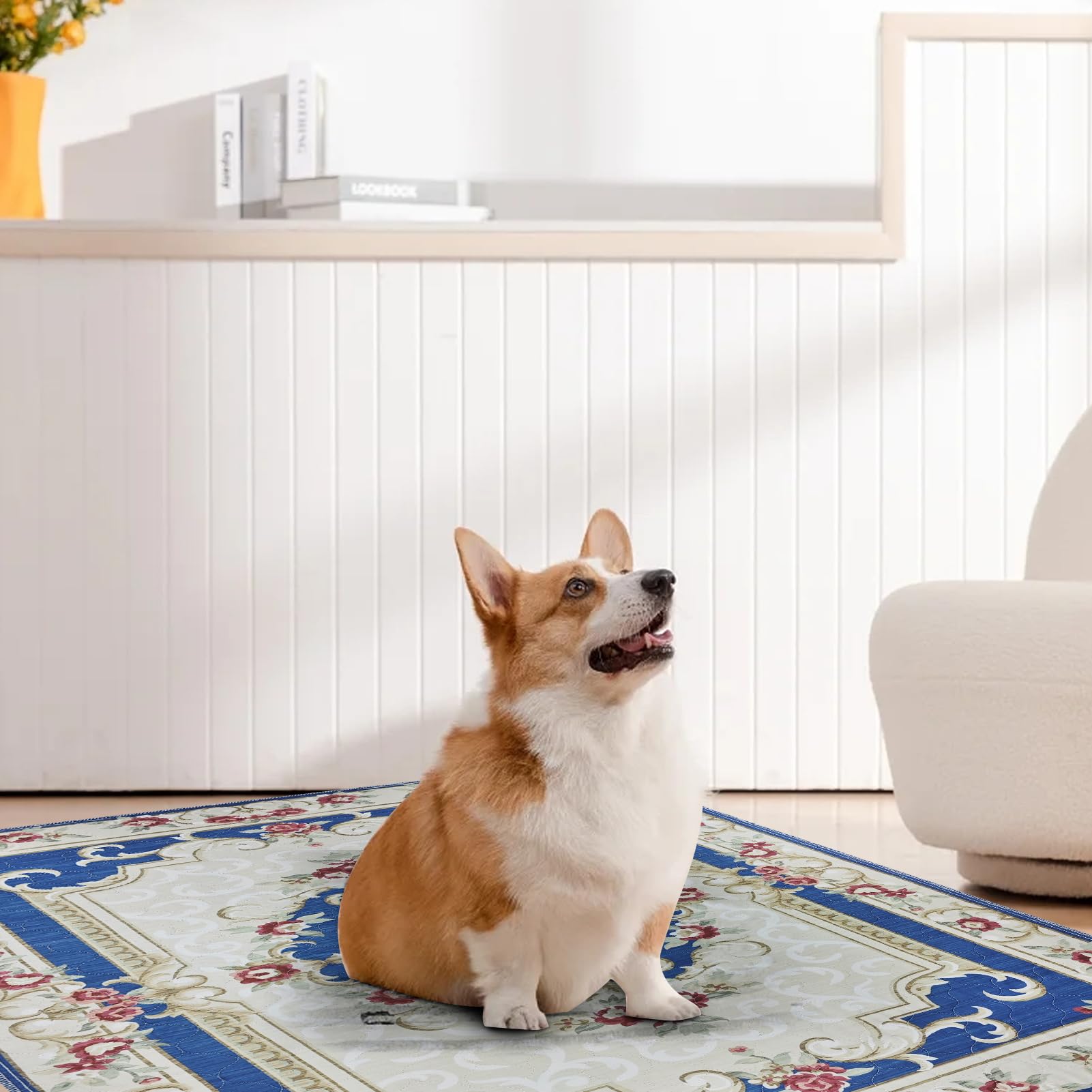 2 Washable Hygienic Dog Pads, 122 x 92cm,Coussinet Super Absorbant | Tapis d'entraînement pour Chiens Amélioré 2026 : Super Absorbant, Imperméable et Antidérapant, pour Cages, Sols et Canapés